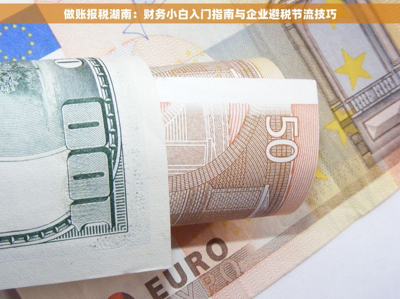 做账报税湖南：财务小白入门指南与企业避税节流技巧