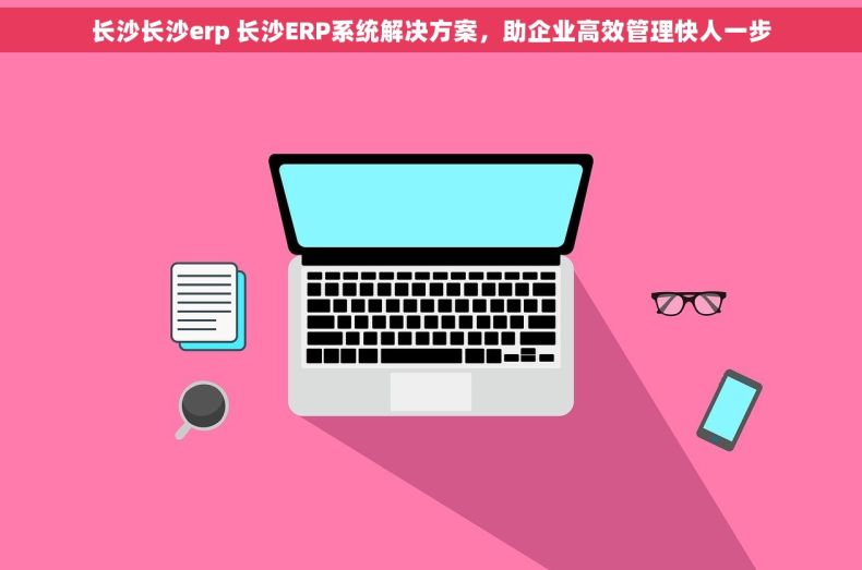 长沙长沙erp 长沙ERP系统解决方案，助企业高效管理快人一步