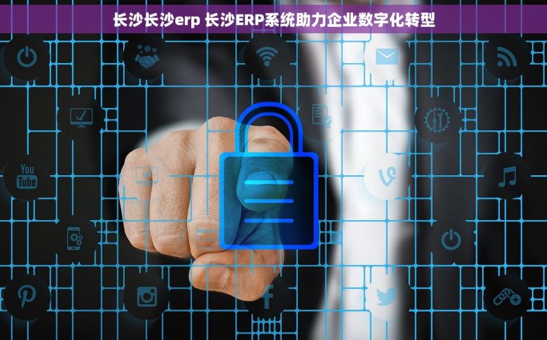 长沙长沙erp 长沙ERP系统助力企业数字化转型