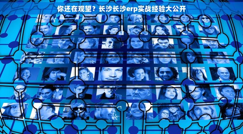 你还在观望？长沙长沙erp实战经验大公开