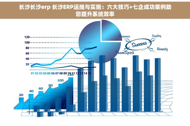 长沙长沙erp 长沙ERP运维与实施：六大技巧+七企成功案例助您提升系统效率