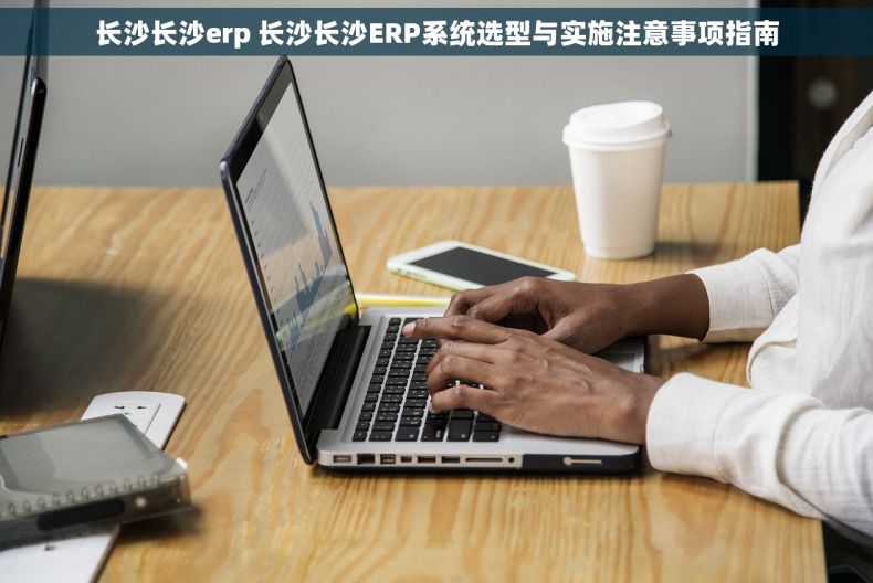 长沙长沙erp 长沙长沙ERP系统选型与实施注意事项指南