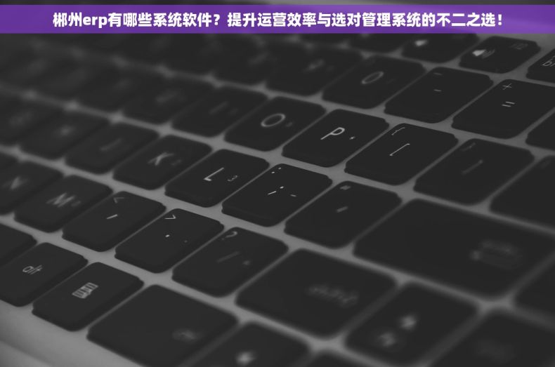 郴州erp有哪些系统软件？提升运营效率与选对管理系统的不二之选！