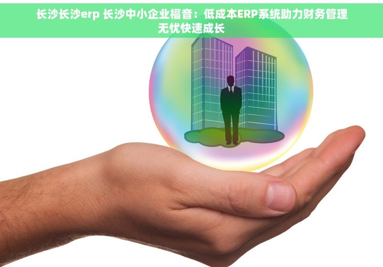 长沙长沙erp 长沙中小企业福音：低成本ERP系统助力财务管理无忧快速成长