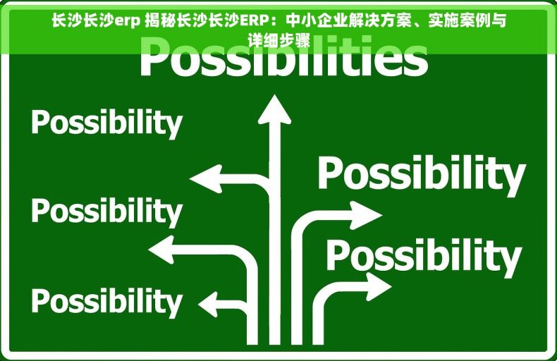 长沙长沙erp 揭秘长沙长沙ERP：中小企业解决方案、实施案例与详细步骤