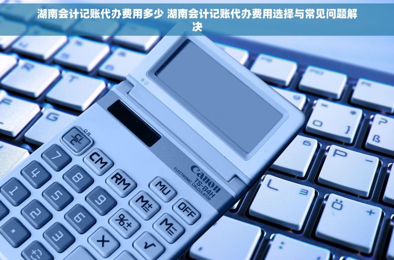湖南会计记账代办费用多少 湖南会计记账代办费用选择与常见问题解决
