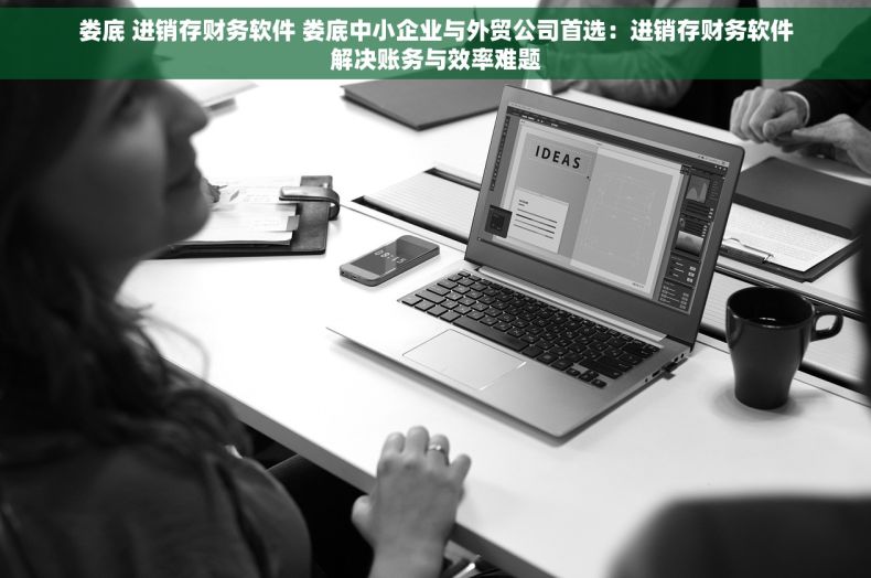 娄底 进销存财务软件 娄底中小企业与外贸公司首选：进销存财务软件解决账务与效率难题