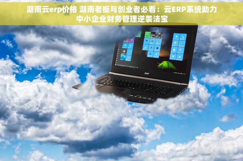 湖南云erp价格 湖南老板与创业者必看：云ERP系统助力中小企业财务管理逆袭法宝
