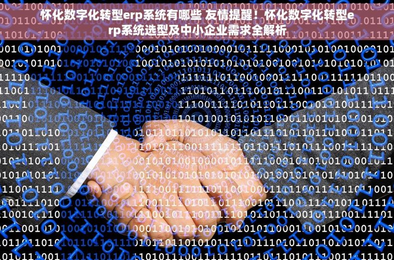 怀化数字化转型erp系统有哪些 友情提醒！怀化数字化转型erp系统选型及中小企业需求全解析