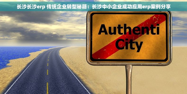 长沙长沙erp 传统企业转型秘籍：长沙中小企业成功应用erp案例分享