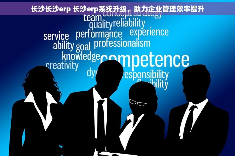 长沙长沙erp 长沙erp系统升级，助力企业管理效率提升