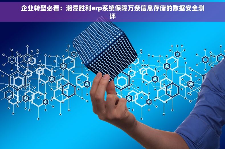 企业转型必看：湘潭胜利erp系统保障万条信息存储的数据安全测评