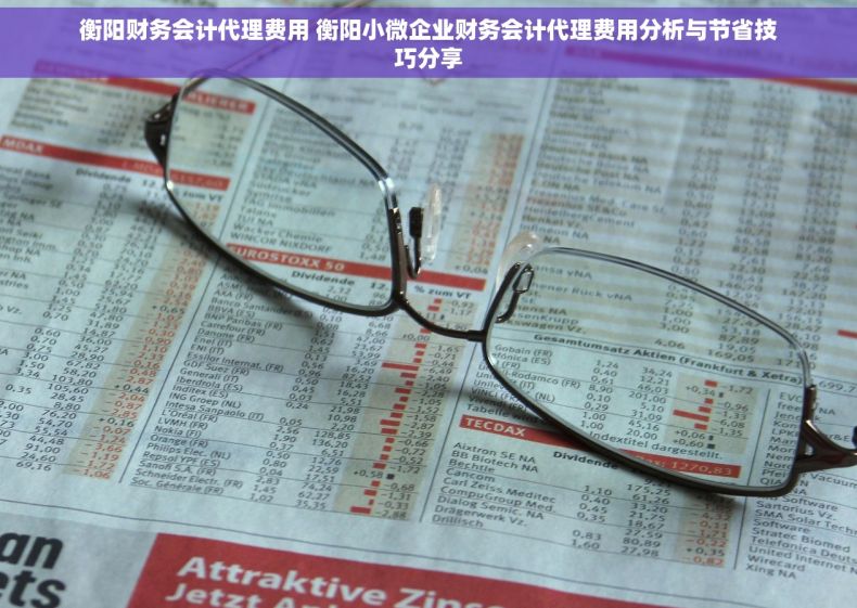 衡阳财务会计代理费用 衡阳小微企业财务会计代理费用分析与节省技巧分享