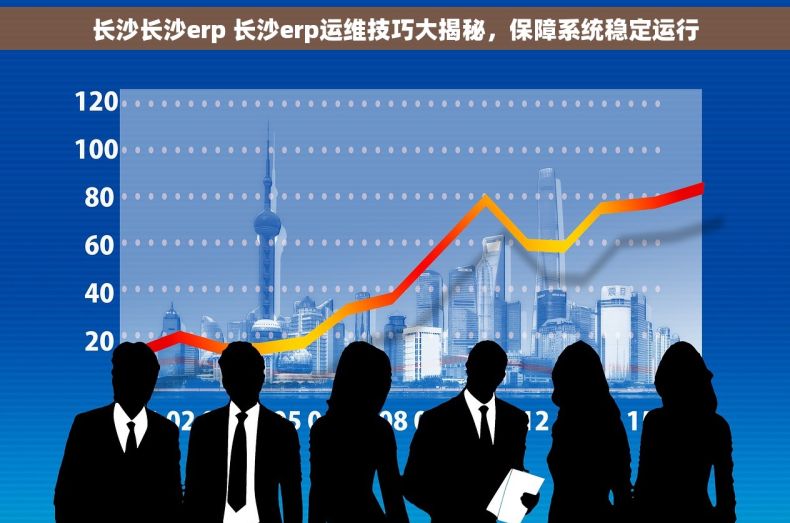 长沙长沙erp 长沙erp运维技巧大揭秘，保障系统稳定运行