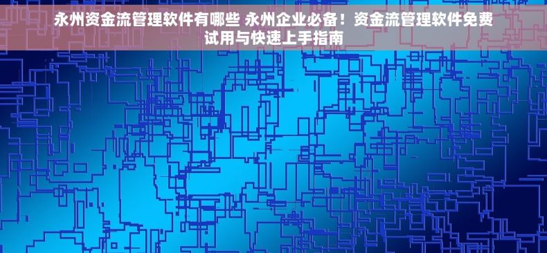 永州资金流管理软件有哪些 永州企业必备！资金流管理软件免费试用与快速上手指南