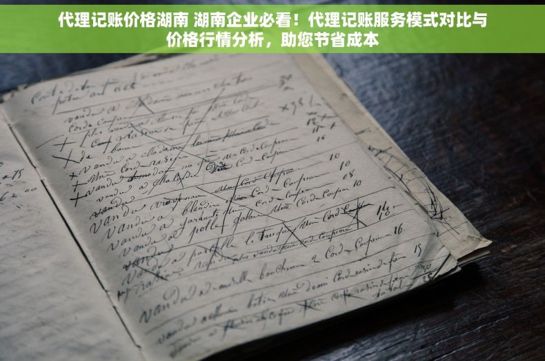 代理记账价格湖南 湖南企业必看！代理记账服务模式对比与价格行情分析，助您节省成本
