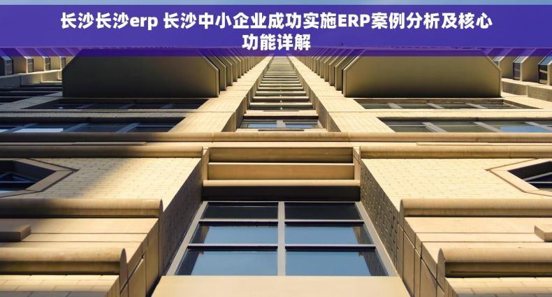 长沙长沙erp 长沙中小企业成功实施ERP案例分析及核心功能详解
