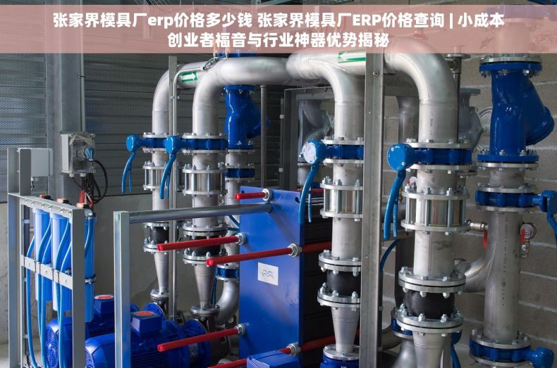 张家界模具厂erp价格多少钱 张家界模具厂ERP价格查询 | 小成本创业者福音与行业神器优势揭秘