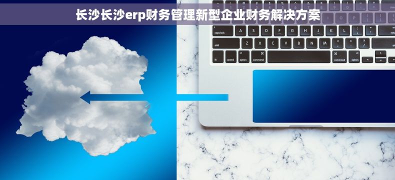 长沙长沙erp财务管理新型企业财务解决方案