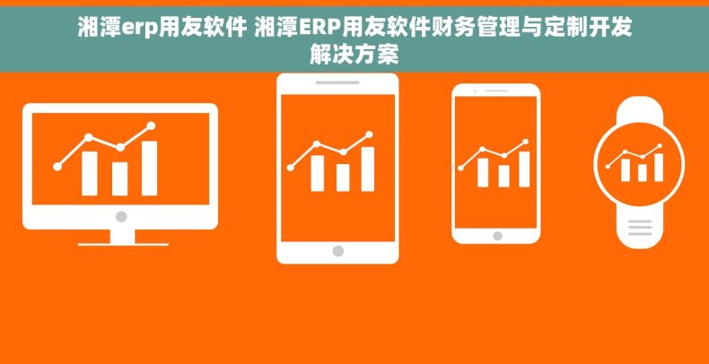 湘潭erp用友软件 湘潭ERP用友软件财务管理与定制开发解决方案