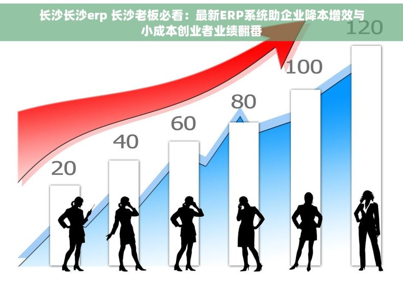 长沙长沙erp 长沙老板必看：最新ERP系统助企业降本增效与小成本创业者业绩翻番