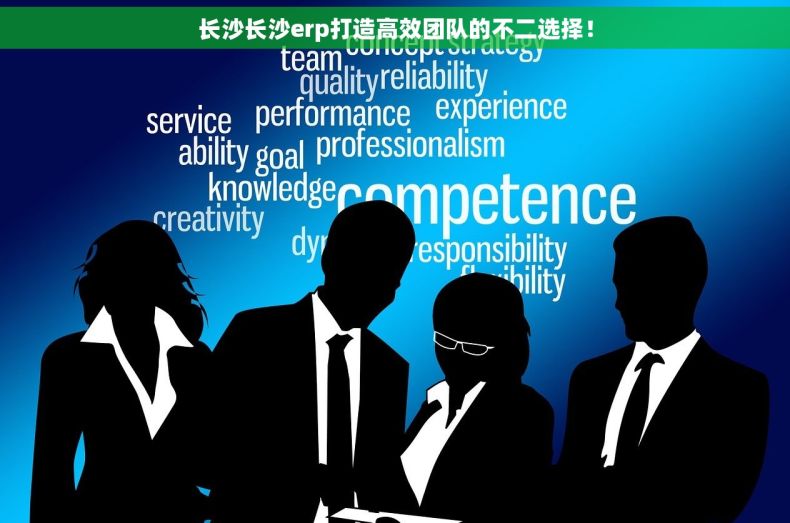 长沙长沙erp打造高效团队的不二选择！