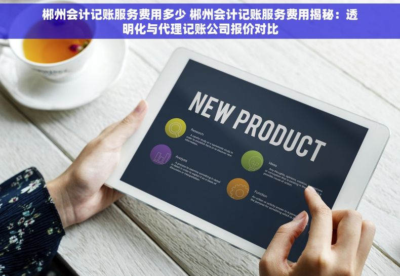 郴州会计记账服务费用多少 郴州会计记账服务费用揭秘：透明化与代理记账公司报价对比