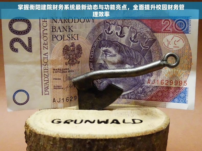 掌握衡阳建院财务系统最新动态与功能亮点，全面提升校园财务管理效率