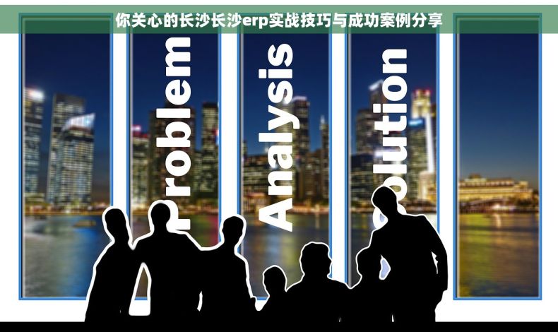 你关心的长沙长沙erp实战技巧与成功案例分享