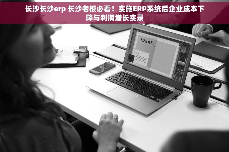 长沙长沙erp 长沙老板必看！实施ERP系统后企业成本下降与利润增长实录