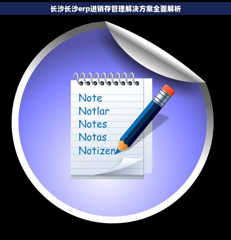 长沙长沙erp进销存管理解决方案全面解析