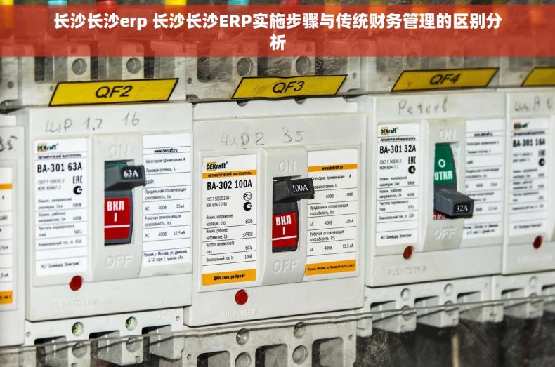 长沙长沙erp 长沙长沙ERP实施步骤与传统财务管理的区别分析