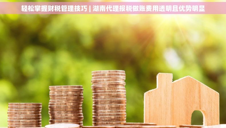 轻松掌握财税管理技巧 | 湖南代理报税做账费用透明且优势明显