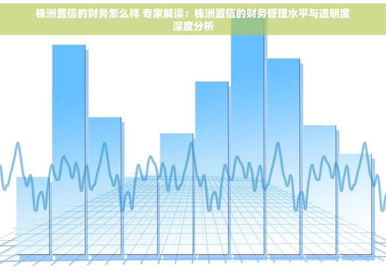 株洲置信的财务怎么样 专家解读：株洲置信的财务管理水平与透明度深度分析