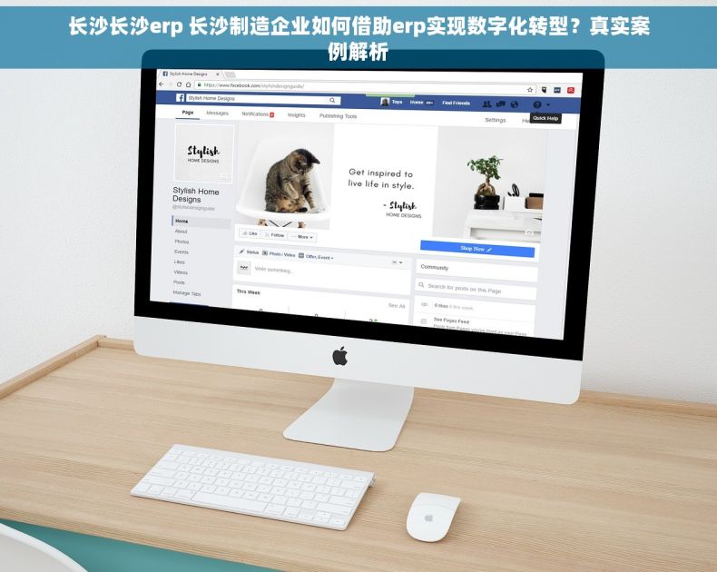 长沙长沙erp 长沙制造企业如何借助erp实现数字化转型？真实案例解析
