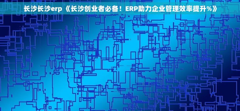 长沙长沙erp 《长沙创业者必备！ERP助力企业管理效率提升%》