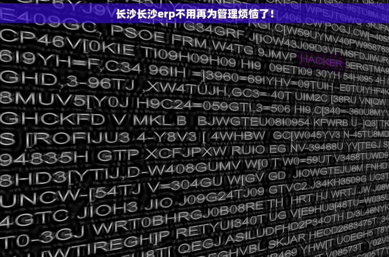 长沙长沙erp不用再为管理烦恼了！