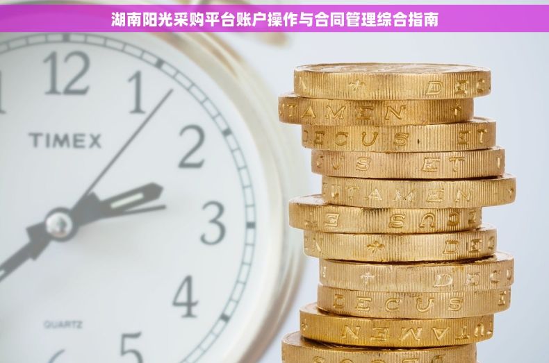 湖南阳光采购平台账户操作与合同管理综合指南