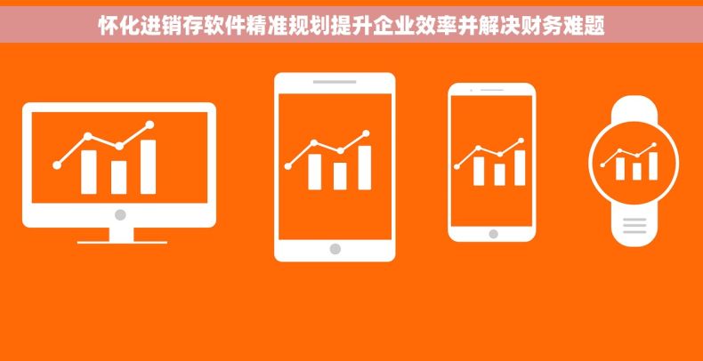 怀化进销存软件精准规划提升企业效率并解决财务难题