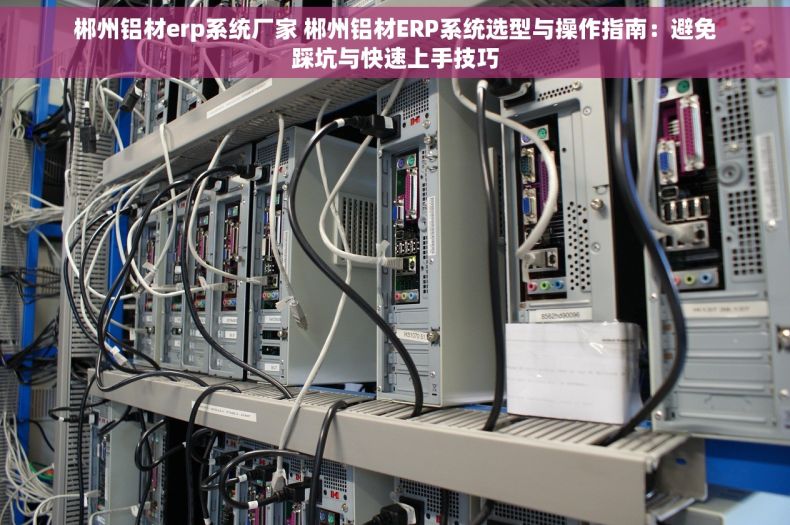 郴州铝材erp系统厂家 郴州铝材ERP系统选型与操作指南：避免踩坑与快速上手技巧