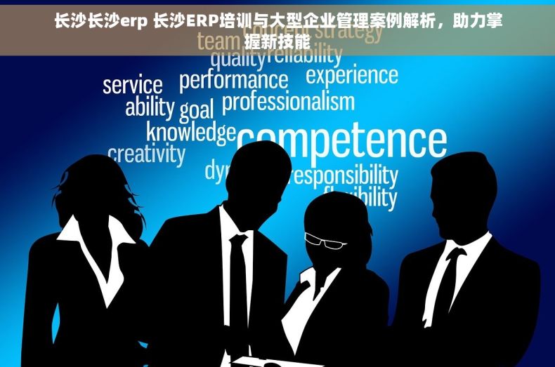 长沙长沙erp 长沙ERP培训与大型企业管理案例解析，助力掌握新技能