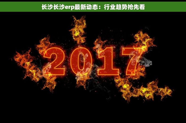 长沙长沙erp最新动态：行业趋势抢先看