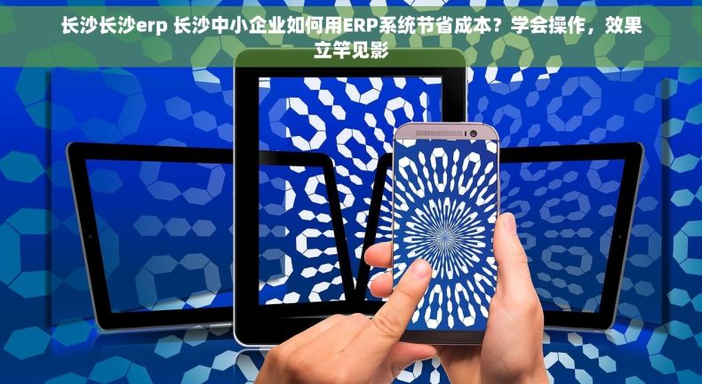 长沙长沙erp 长沙中小企业如何用ERP系统节省成本？学会操作，效果立竿见影