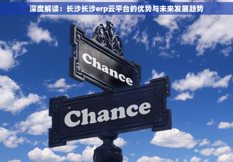 深度解读：长沙长沙erp云平台的优势与未来发展趋势