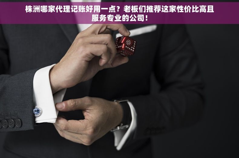 株洲哪家代理记账好用一点？老板们推荐这家性价比高且服务专业的公司！