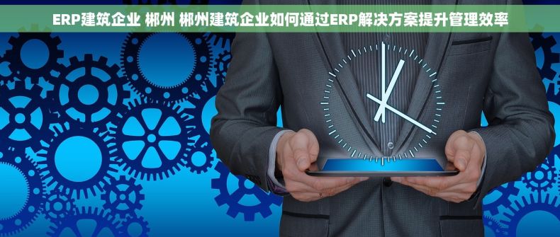 ERP建筑企业 郴州 郴州建筑企业如何通过ERP解决方案提升管理效率
