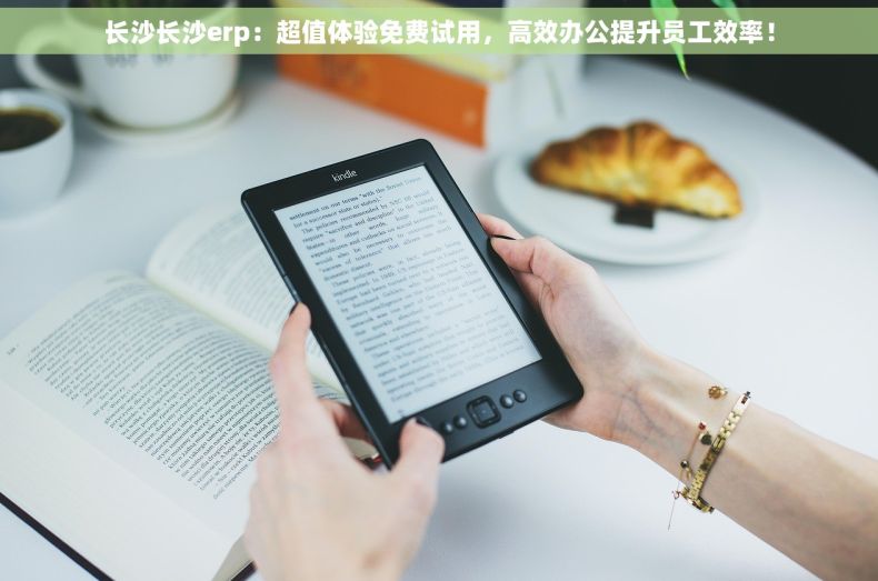 长沙长沙erp：超值体验免费试用，高效办公提升员工效率！