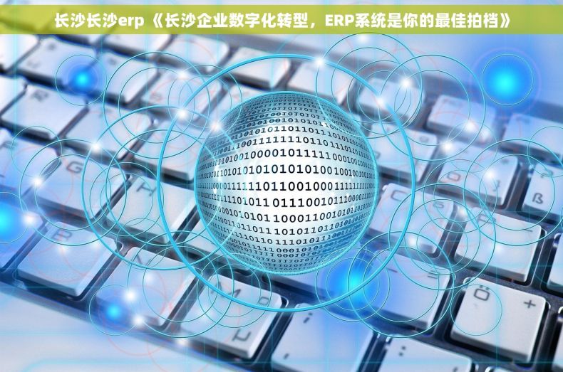 长沙长沙erp 《长沙企业数字化转型，ERP系统是你的最佳拍档》