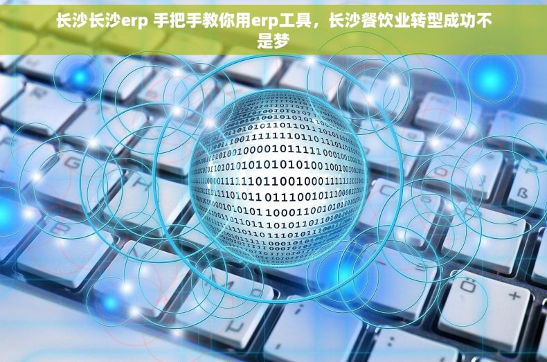 长沙长沙erp 手把手教你用erp工具，长沙餐饮业转型成功不是梦