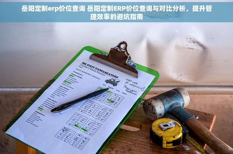 岳阳定制erp价位查询 岳阳定制ERP价位查询与对比分析，提升管理效率的避坑指南